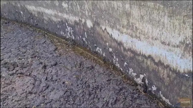 Manure Pit Anniversary